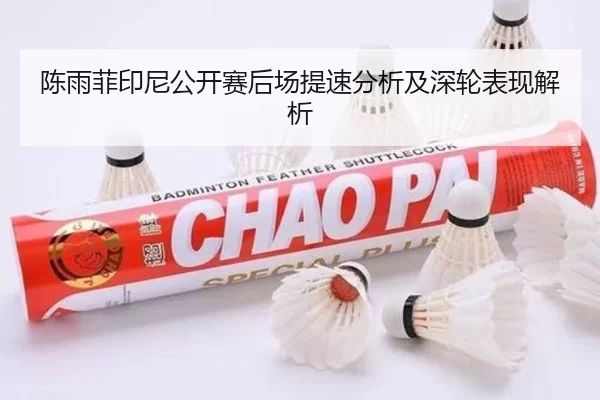 陈雨菲印尼公开赛后场提速分析及深轮表现解析（AYX）